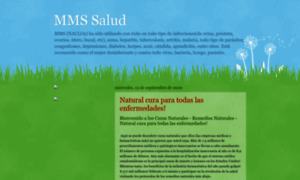 Mms-salud.blogspot.com thumbnail