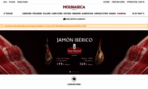 Molinasecaonline.com thumbnail