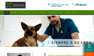 Molinodelahozclinicaveterinaria.com thumbnail