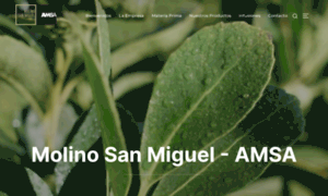 Molinosanmiguel.com.ar thumbnail