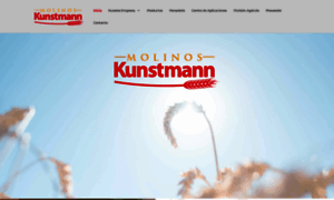 Molinoskunstmann.cl thumbnail