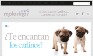 Molosinos.com thumbnail