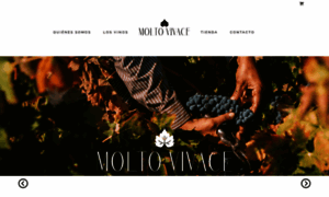 Moltovivace.com.mx thumbnail