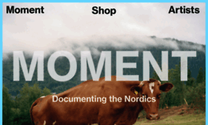 Momentagency.com thumbnail