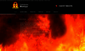 Montoyaextintores.com thumbnail