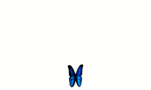 Morphoazulcr.com thumbnail