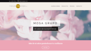 Mosagrupo.com thumbnail