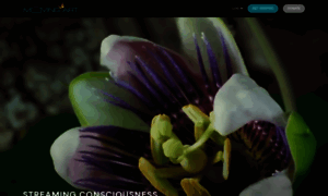 Movingart.com thumbnail