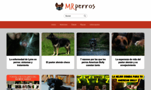 Mrperros.com thumbnail
