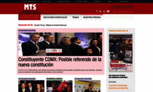 Mtsmexico.org thumbnail