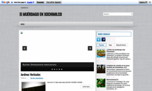 Muerdagoxochimilco.blogspot.com thumbnail