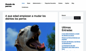 Mundodeperros.es thumbnail