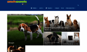 Mundomascota.net thumbnail