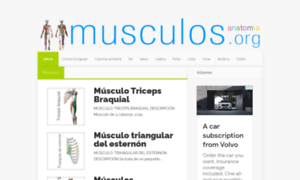 Musculos.org thumbnail