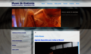 Museodeanatomia.cl thumbnail