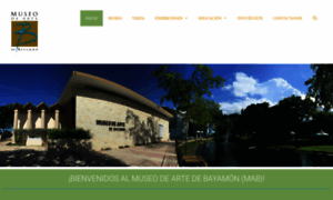 Museodeartedebayamon.com thumbnail