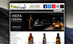 Museodelpisco.cl thumbnail