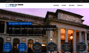 Museodelpradotours.com thumbnail