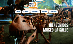 Museolasalle.ed.cr thumbnail