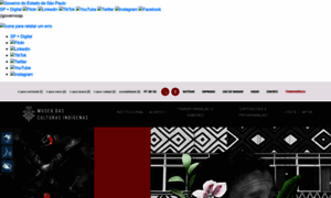 Museudasculturasindigenas.org.br thumbnail