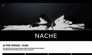 Nache.kr thumbnail