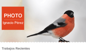 Nachoperez.com.ar thumbnail