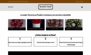 Narciso.com.mx thumbnail
