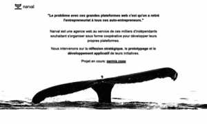 Narval.site thumbnail