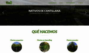 Nativosdecantillana.cl thumbnail