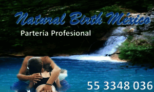 Natural-birth-toluca-mexico.webnode.mx thumbnail