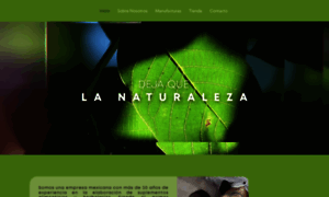 Natural-health.mx thumbnail