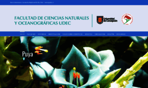 Naturalesudec.cl thumbnail