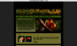 Naturaleza-y-vida.com thumbnail