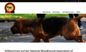 Nbas.ch thumbnail