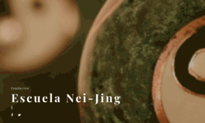 Neijingcaracas.org.ve thumbnail