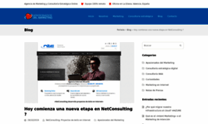 Netconsulting.es thumbnail