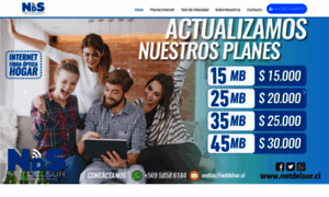Netdelsur.cl thumbnail
