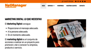 Netmanager.es thumbnail