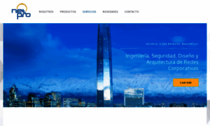 Netpro.cl thumbnail