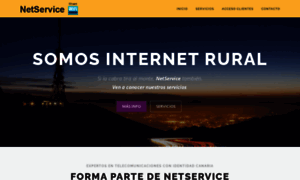 Netservice.es thumbnail