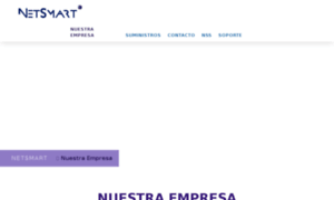 Netsmart.com.mx thumbnail