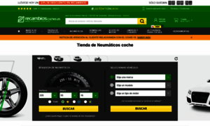 Neumaticos.recambioscoches.es thumbnail