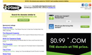 Neumaticosbridgestoneweb.com thumbnail