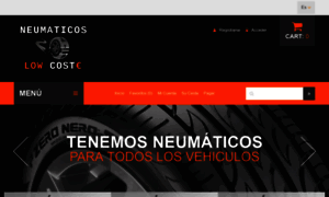 Neumaticoslowcoste.com thumbnail