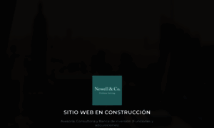 Newell.mx thumbnail