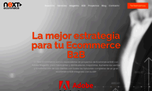 Next-ecommerce.com thumbnail