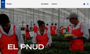 Ni.undp.org thumbnail