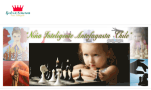 Ninainteligentechile.com thumbnail