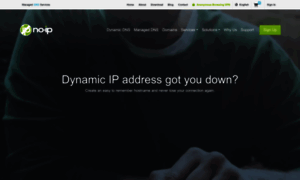 No-ip.biz thumbnail