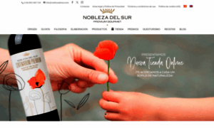 Noblezadelsur.com thumbnail